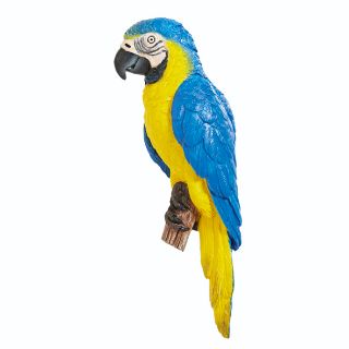 Obrázek z Magnet ara hyacintový polyresin 